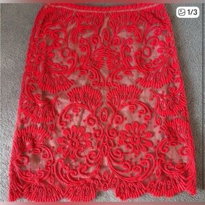 Stunning Anthropologie skirt